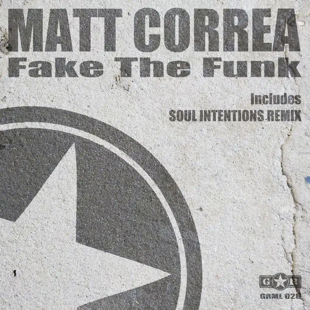 Fake the Funk (Short Mix)