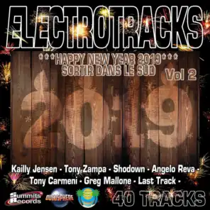 Electrotracks Happy New Year 2019, Vol. 2 (Sortir Dans Le Sud)