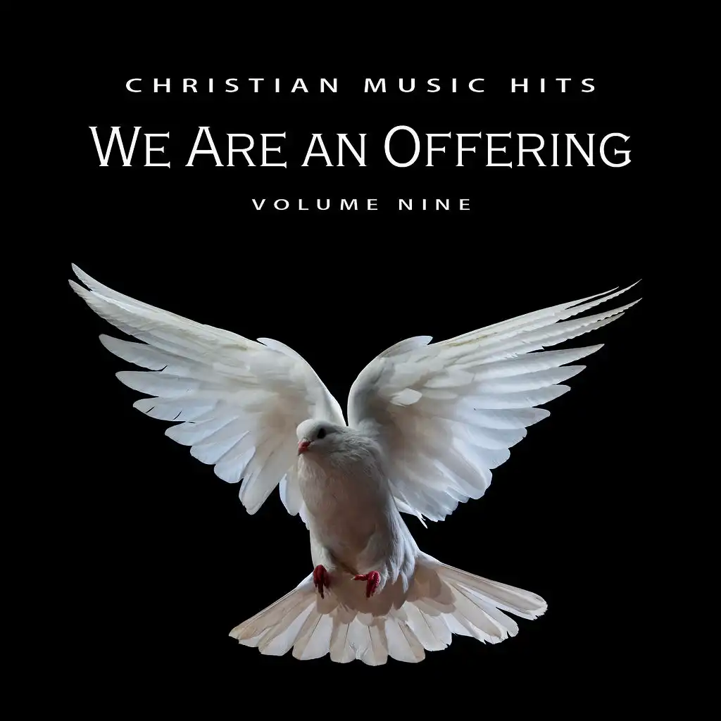 Christian Music Hits: We Are an Offering, Vol. 9