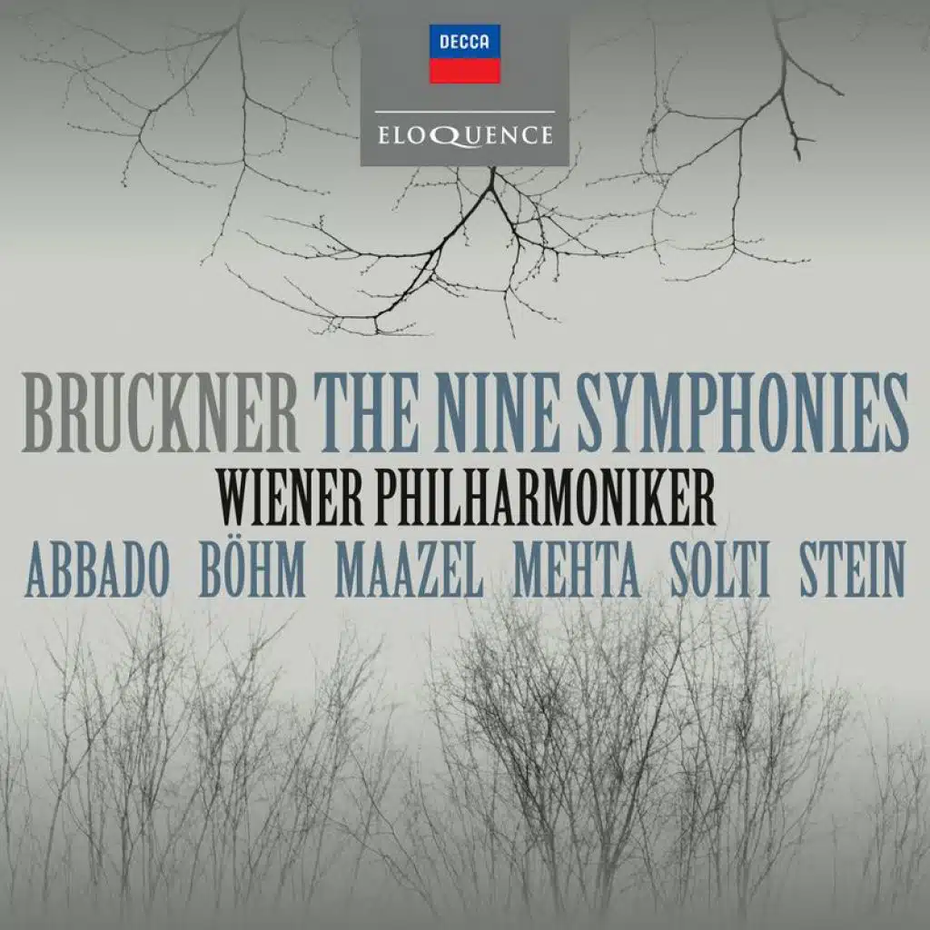 Bruckner: Symphony No. 7 in E Major, WAB 107 (Ed. Nowak): I. Allegro moderato