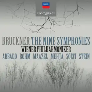 Bruckner: Symphony No. 1 in C Minor, WAB 101 (1877 Rev. Linz Version, Ed. Haas) - III. Scherzo. Lebhaft – Trio. Langsam