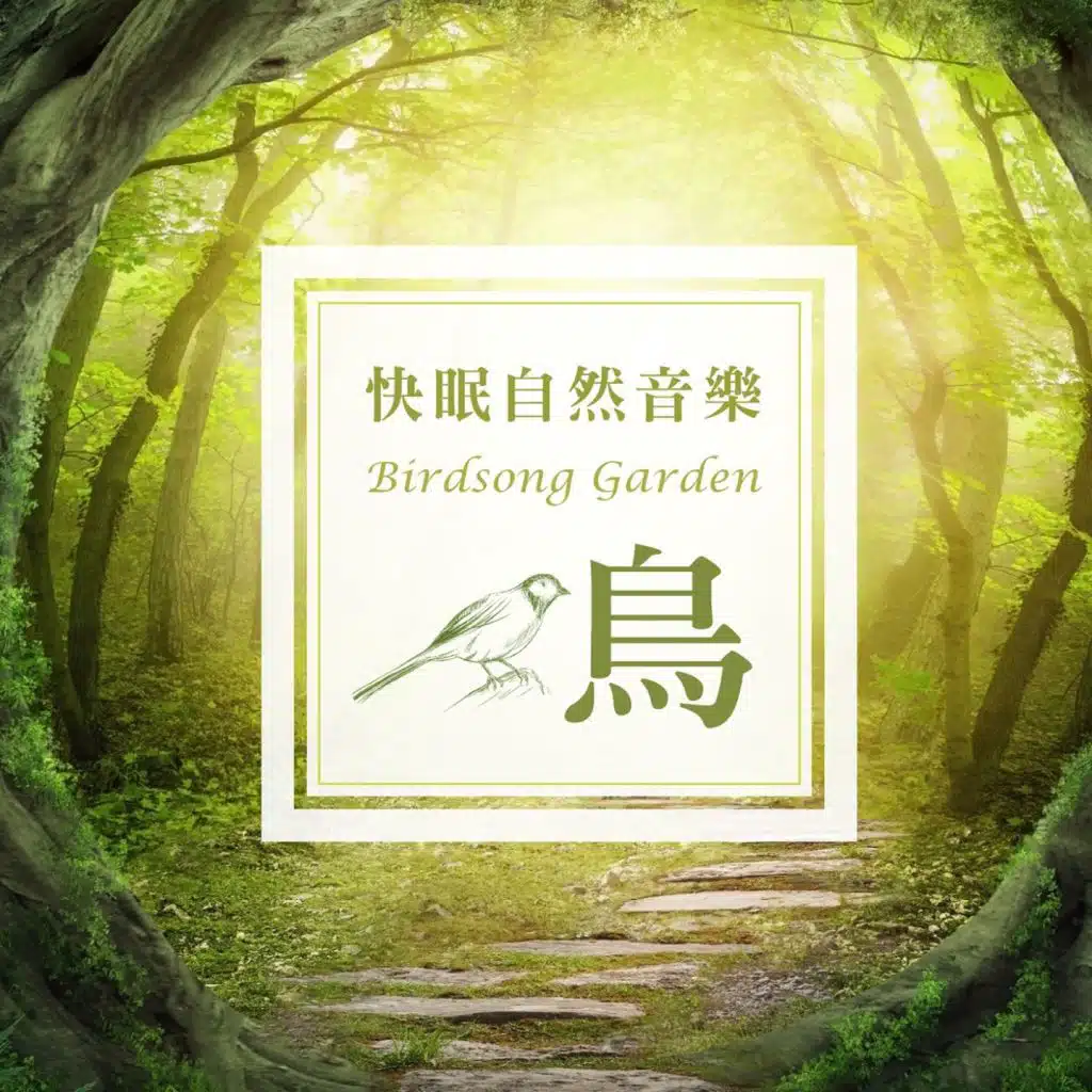 Birdsong Garden (With relaxation music)