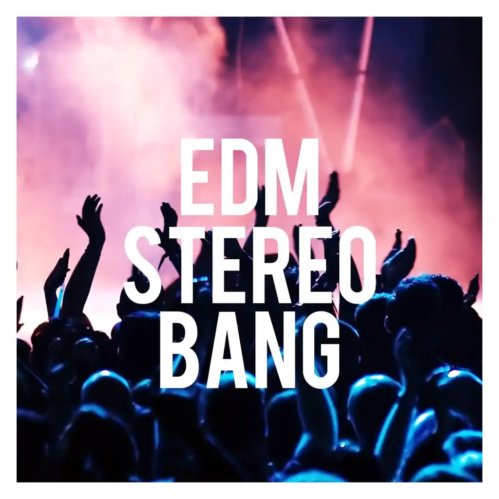 Edm Stereo Bang