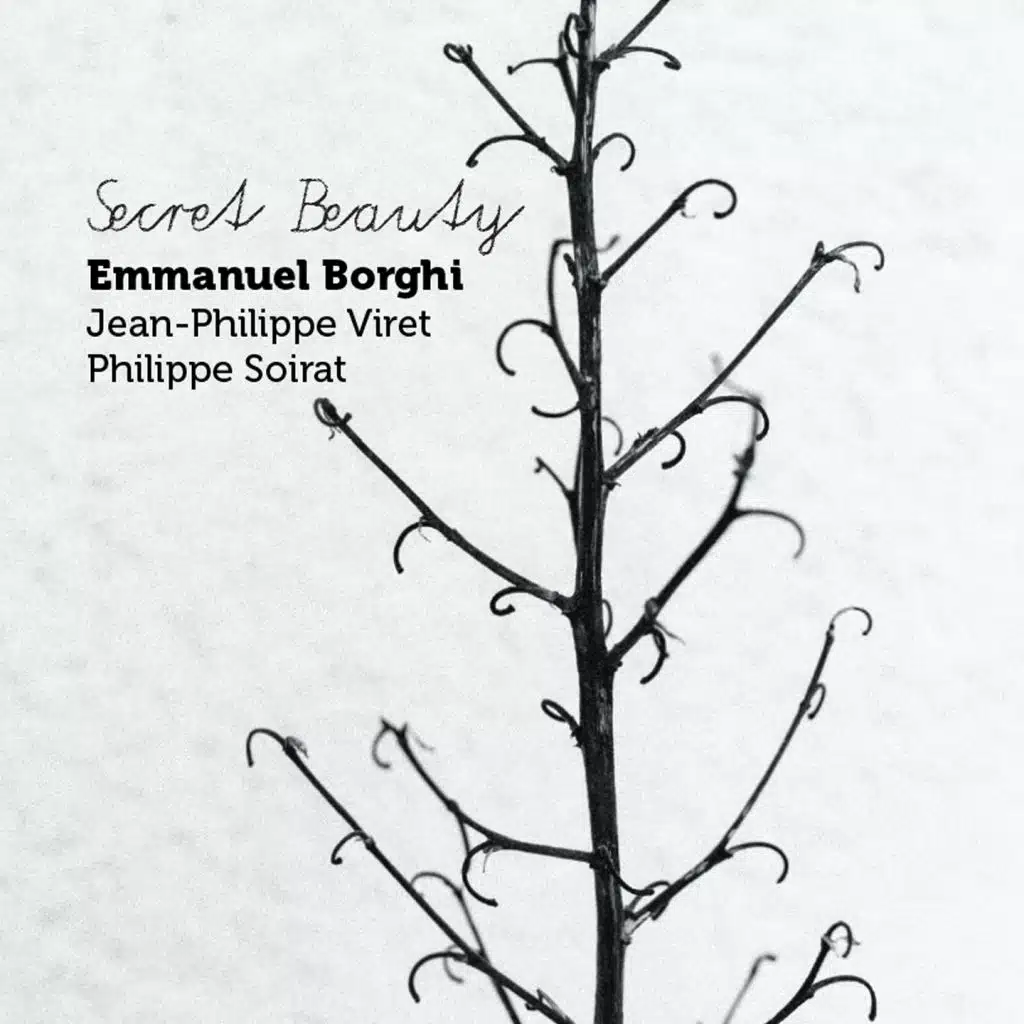 Secret Beauty (feat. Jean-Philippe Viret & Philippe Soirat)