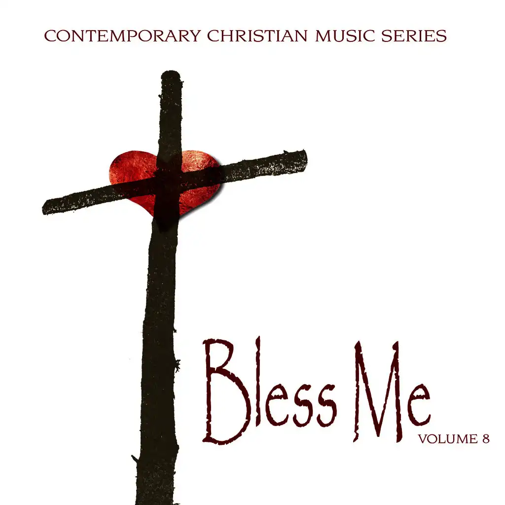 Contemporary Christian Music Series: Bless Me, Vol. 8