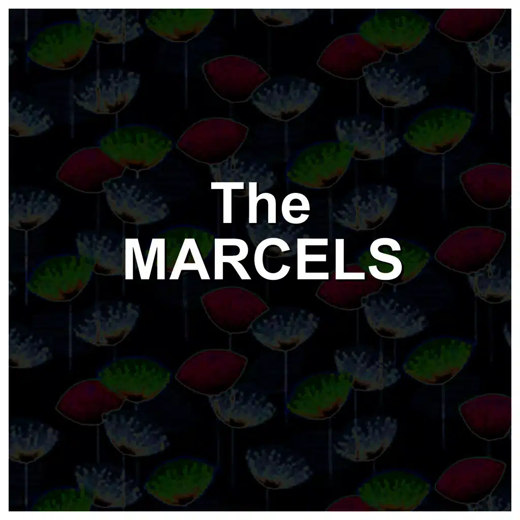 Marcels