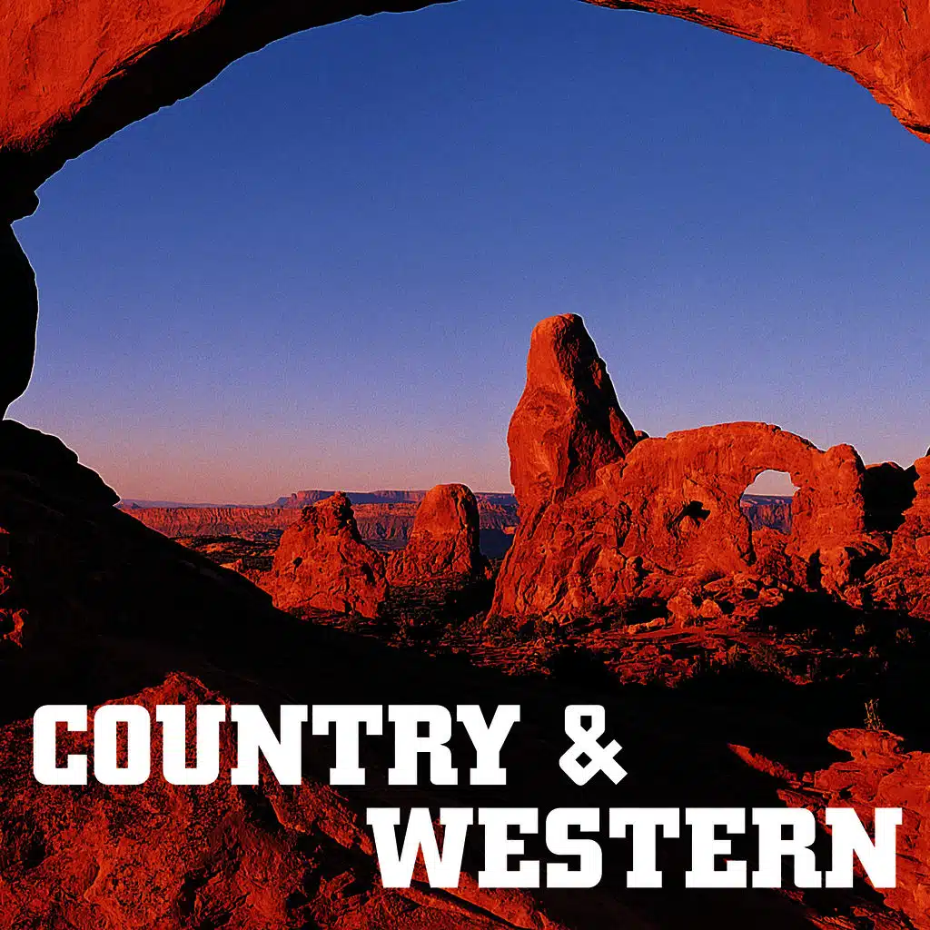 You Can't Put The City In A Country Girl (Re-recorded)