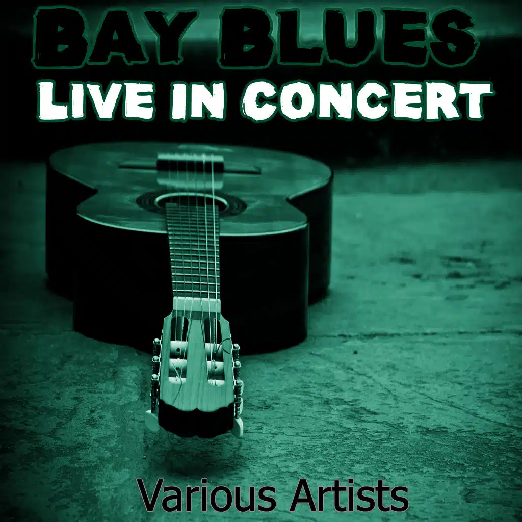 Bay Blues Live In Concert