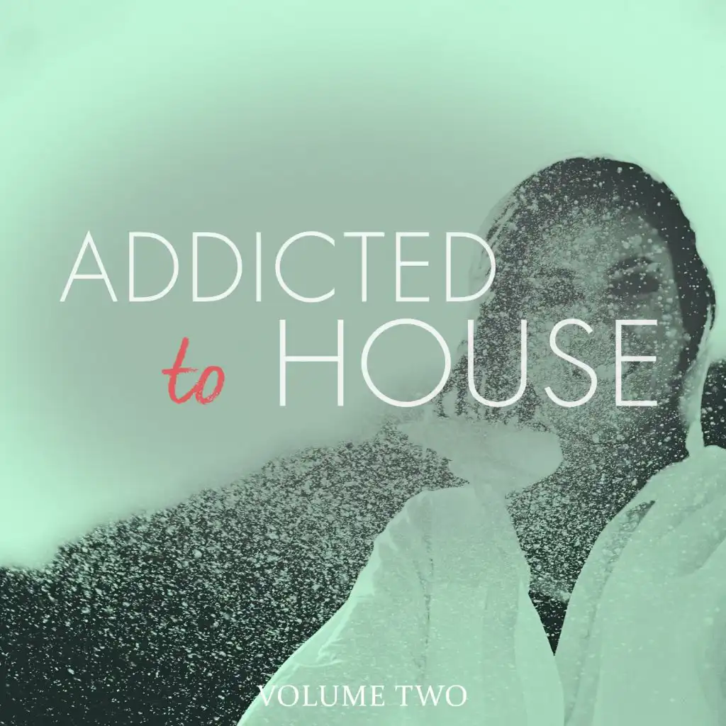 Addicted To House, Vol. 2 (Amazing Selection Of Modern House Tunes)