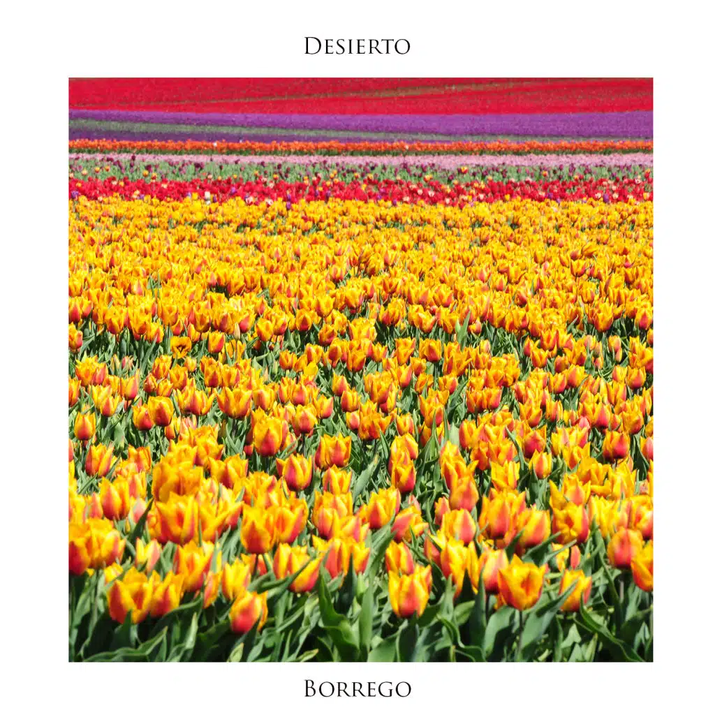 Desierto