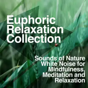 Euphoric Relaxation Collection
