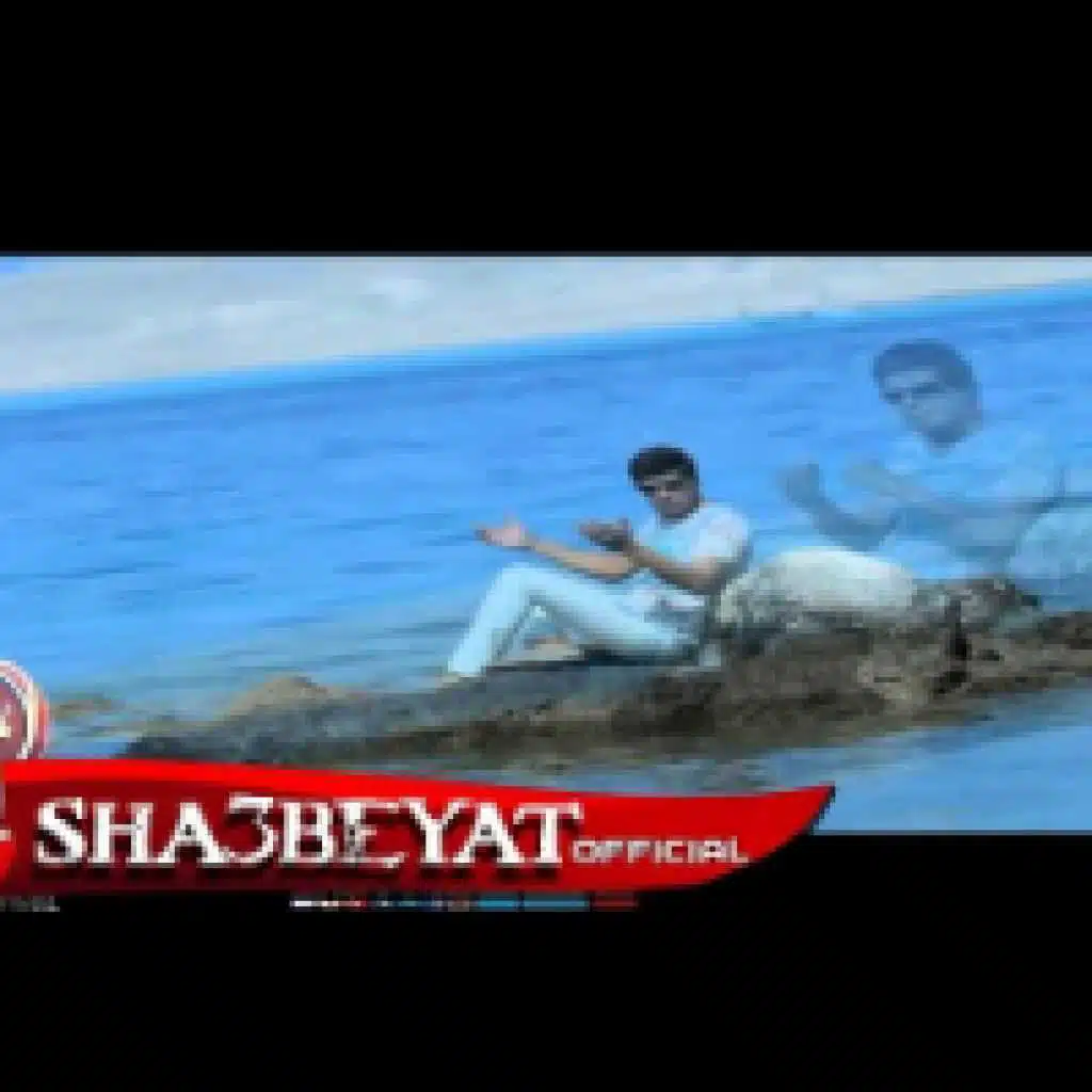 ميمى عامر