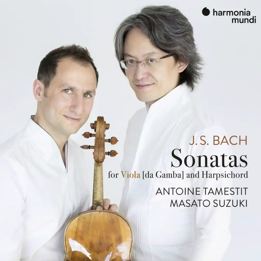 Sonata for Viola da Gamba in G Minor, BWV 1029: I. Vivace (Arr. for Viola)