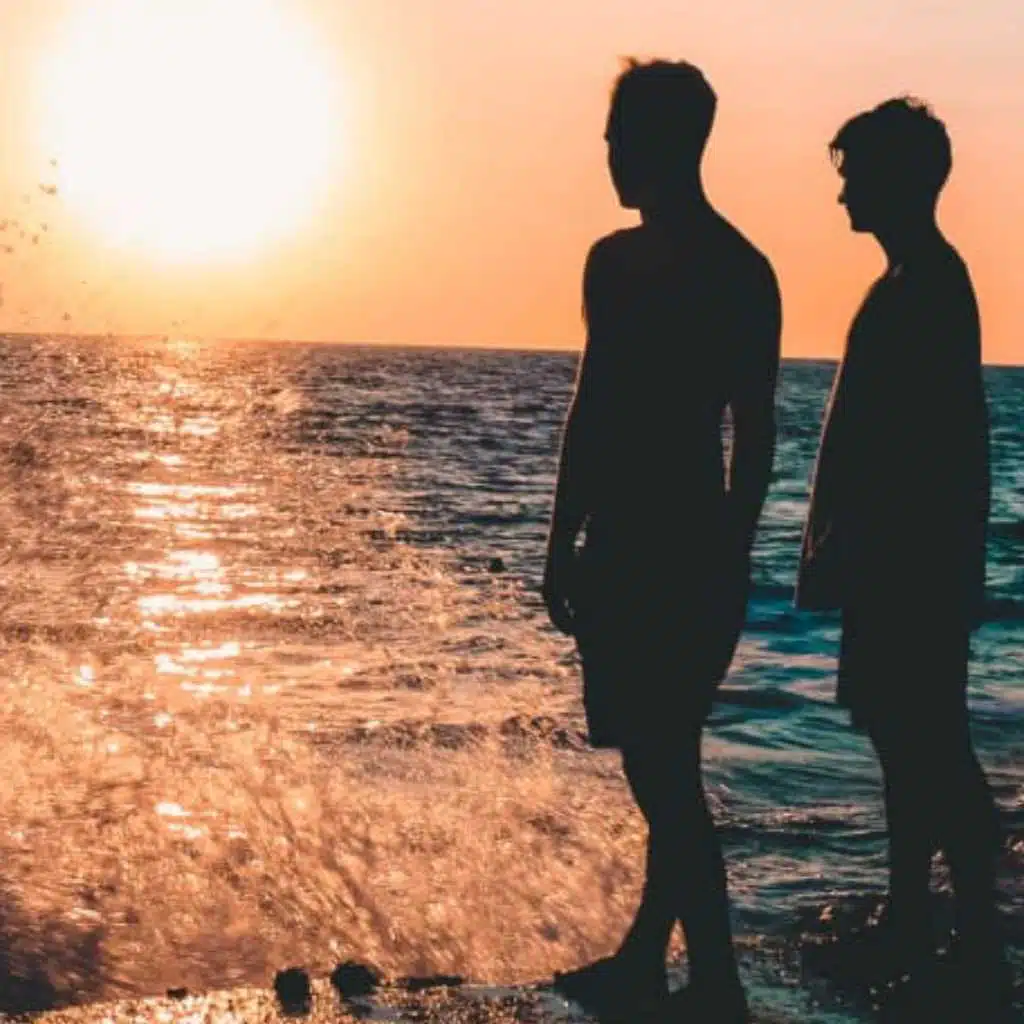 يا صاحبى مش بتحبك