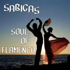 Soul of Flamenco