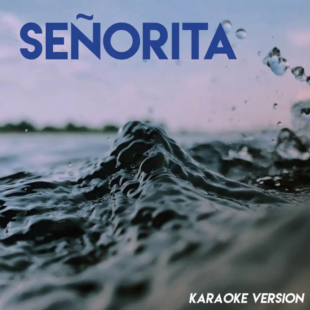 Señorita (Karaoke Version)