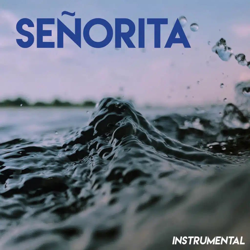 Señorita (Instrumental)