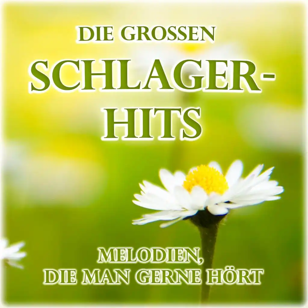 Die grossen Schlager-Hits (Melodien, die man gerne hört)