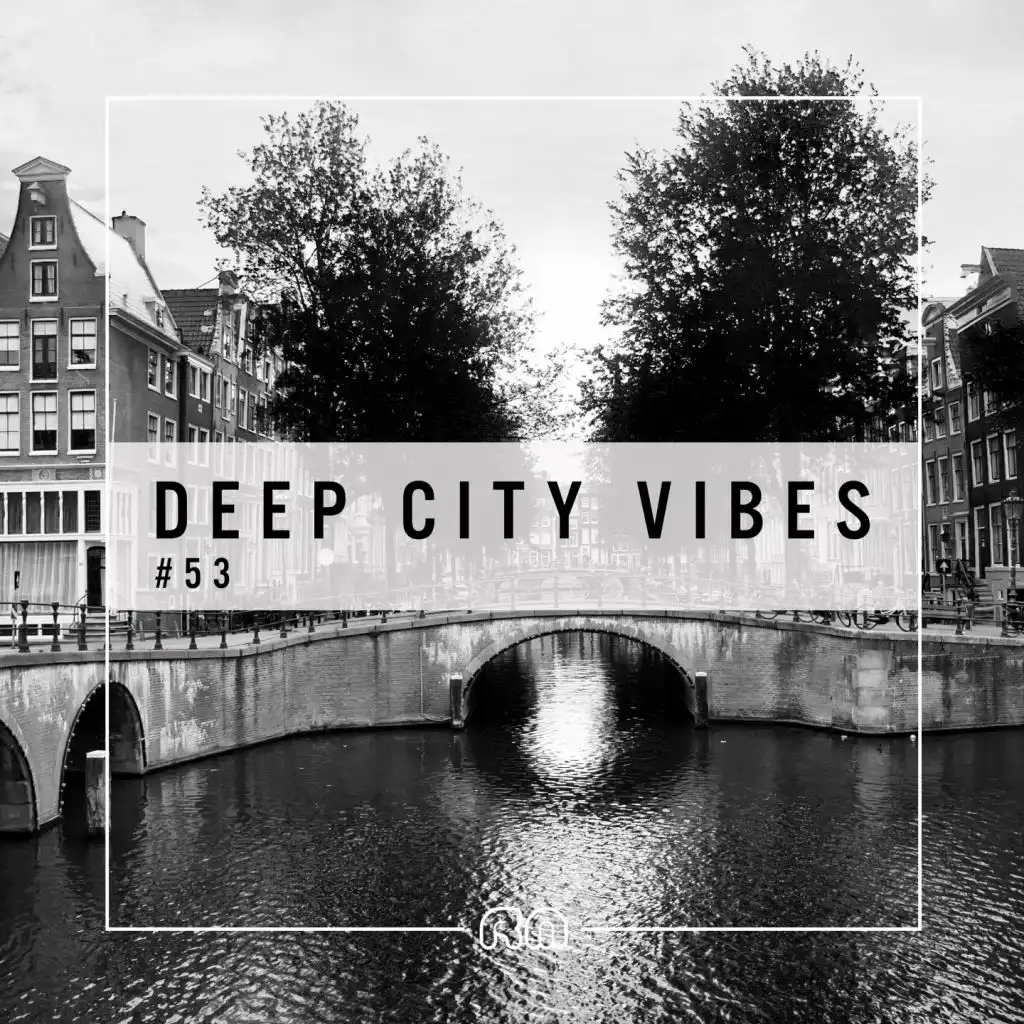 Deep City Vibes, Vol. 53