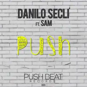 Push (Radio Version) [feat. Sam]