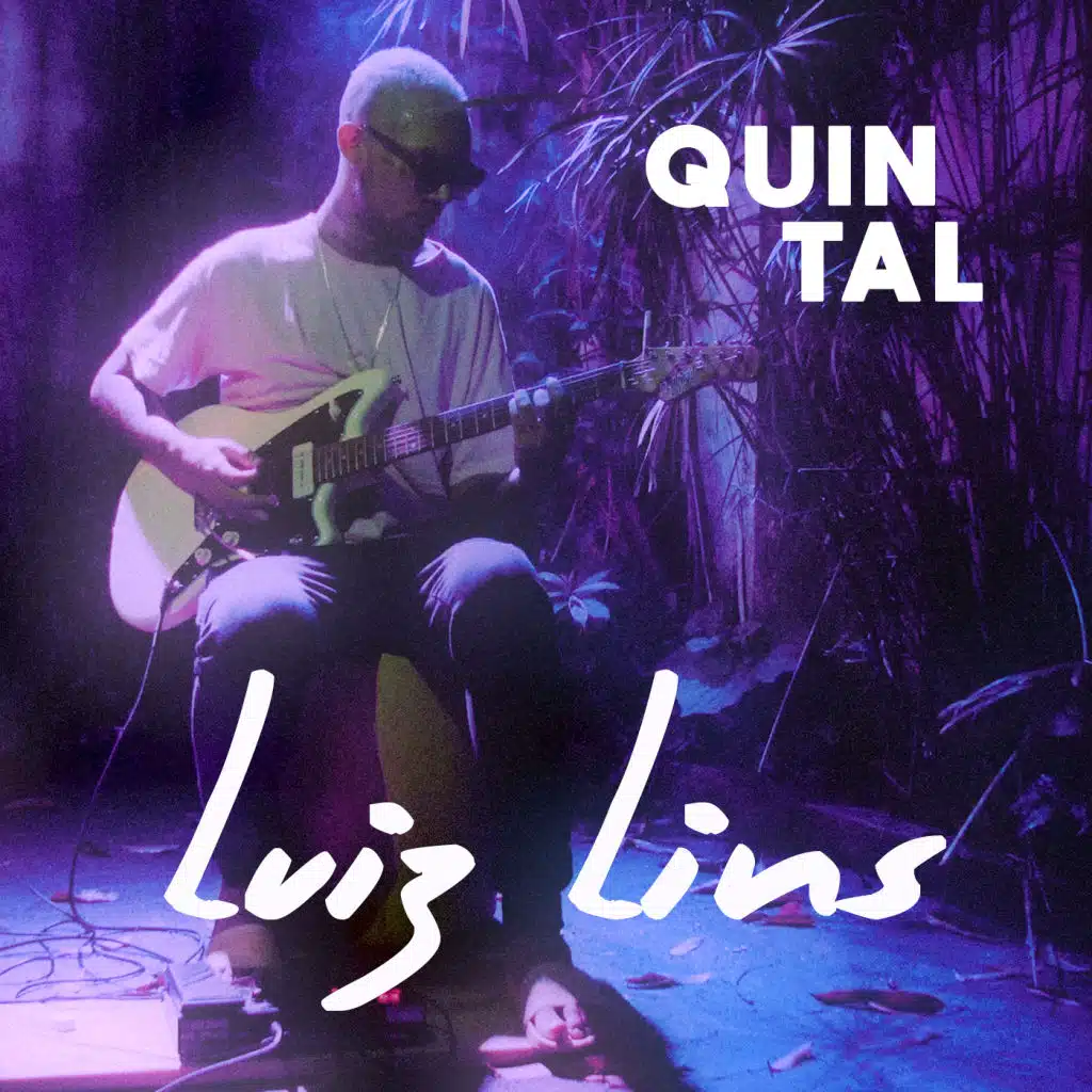 Quintal: Amor Marginal / Garoto de Aluguel (feat. Luiz Lins)