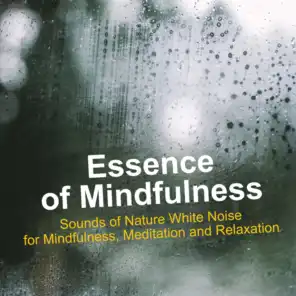 Essence of Mindfulness