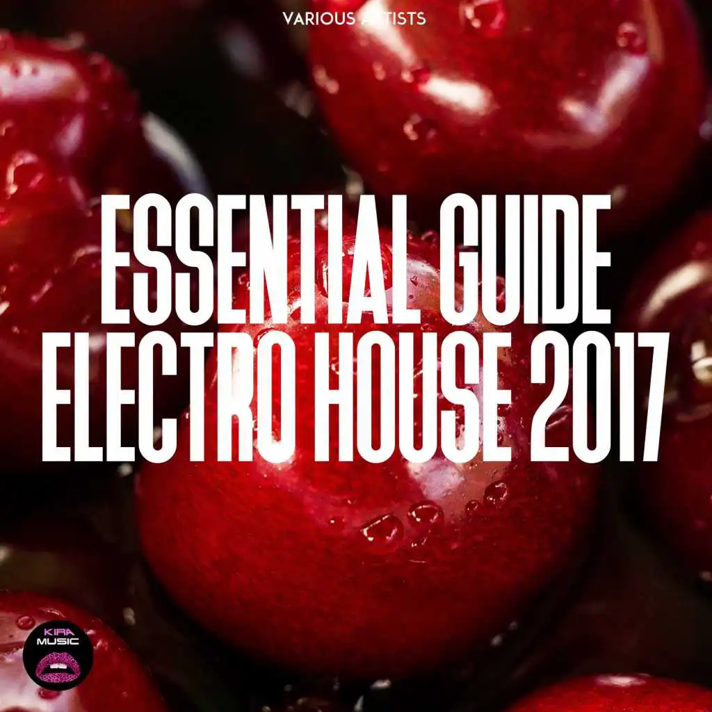 Essential Guide Electro House 2017