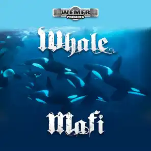 Whale Mafi