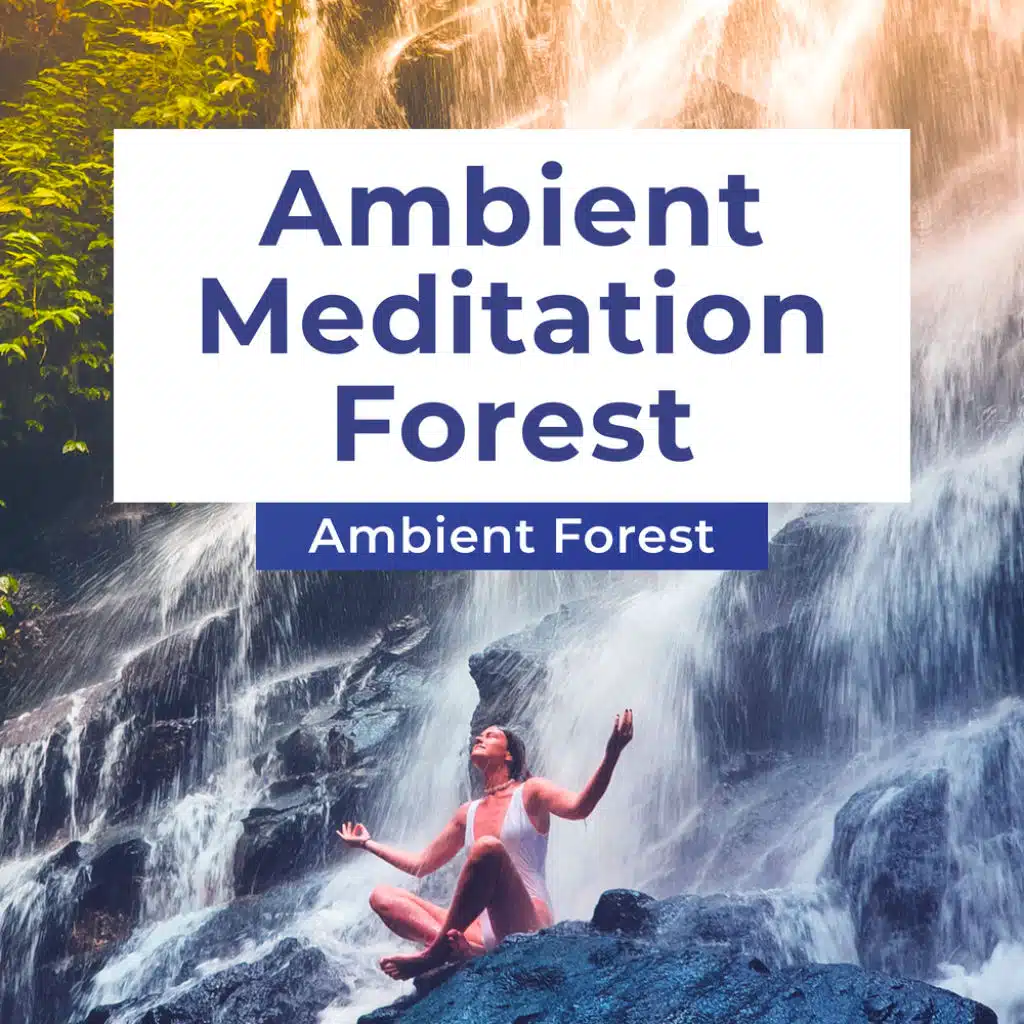 Ambient Meditation Forest