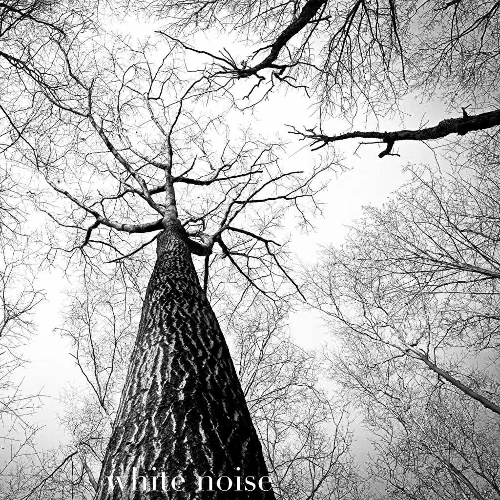 Box Fan - Loopable With No Fade