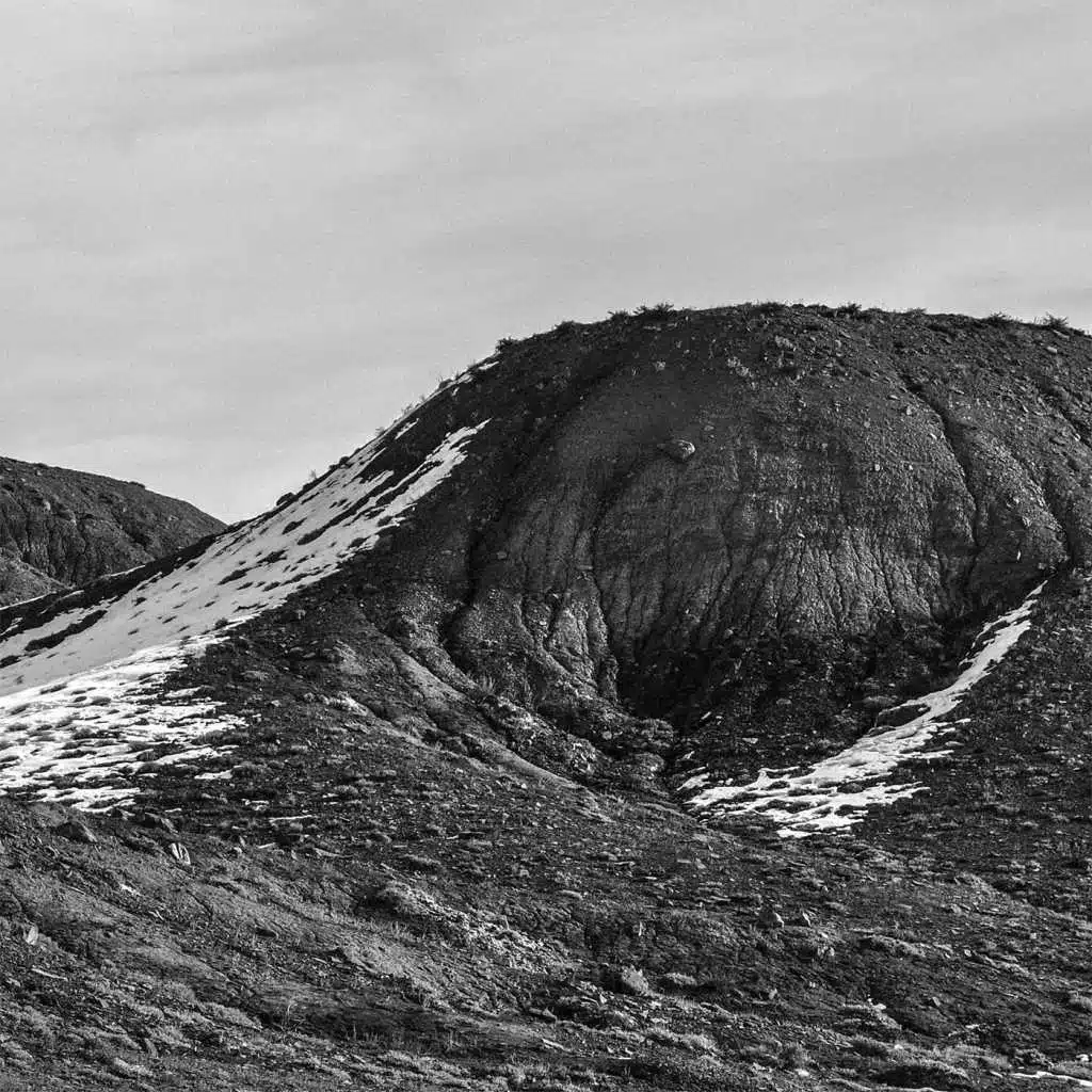 A Form We Can Settle On