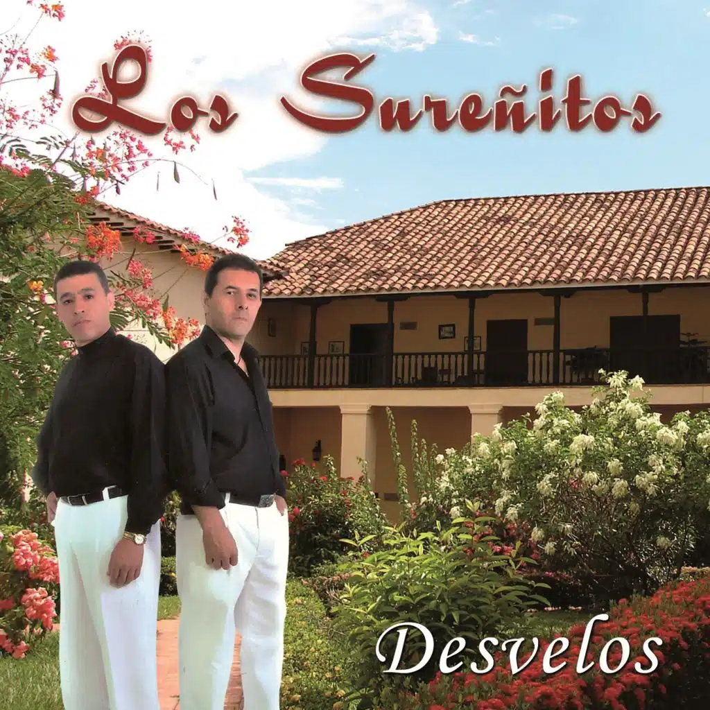 Desvelos