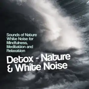 Detox - Nature & White Noise