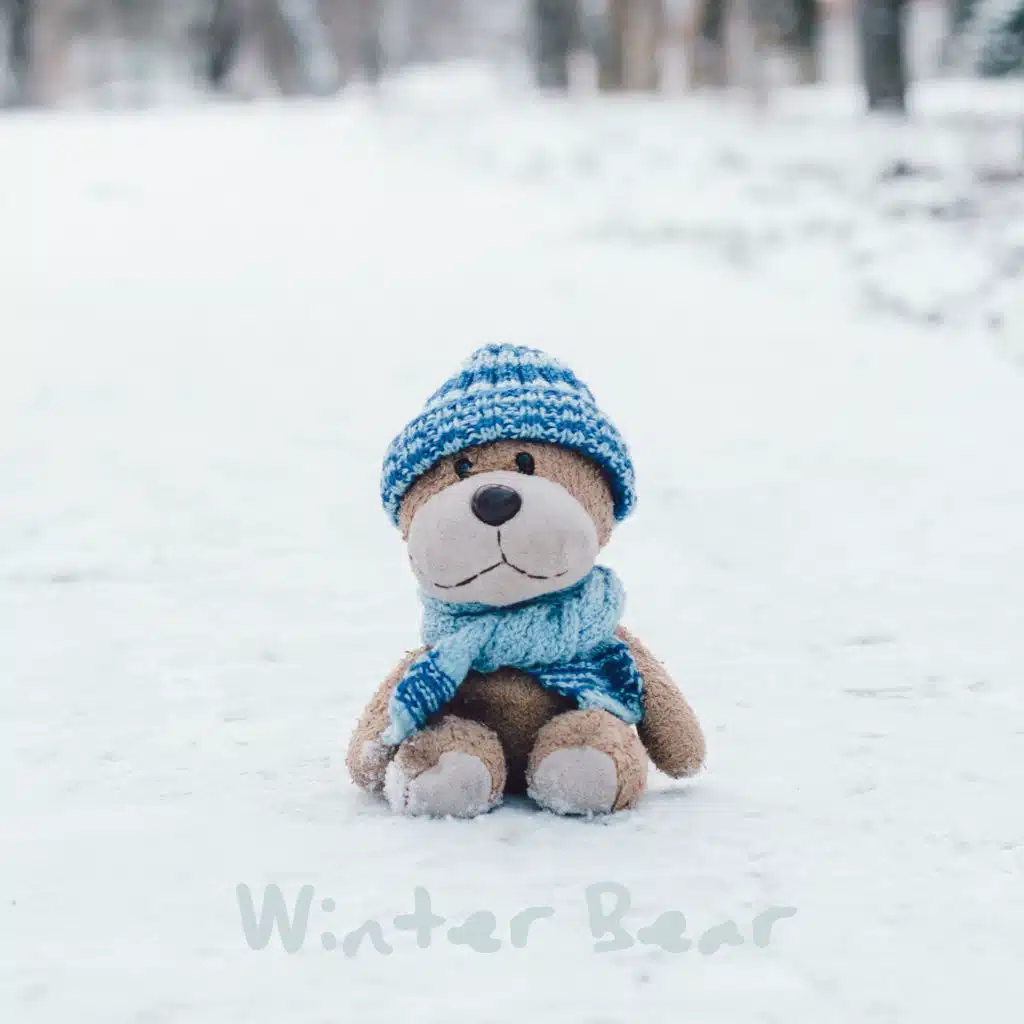 Winter Bear