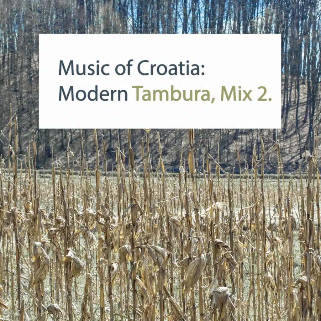 Music Of Croatia - Modern Tambura Mix, Vol. 2
