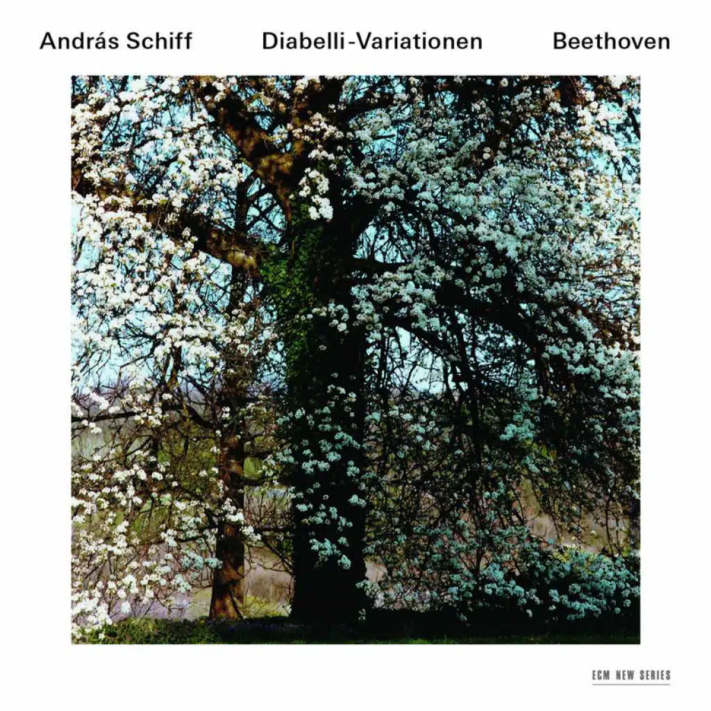 Beethoven: Piano Sonata No. 32 in C Minor, Op. 111: I. Maestoso – Allegro con brio ed appassionato