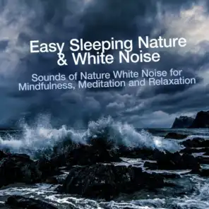Easy Sleeping Nature & White Noise