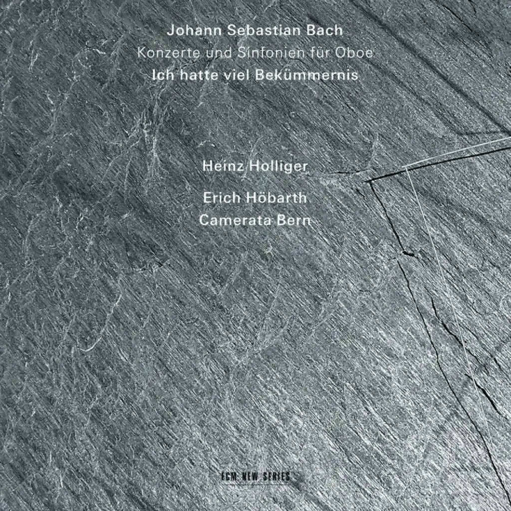 J.S. Bach: Ich hatte viel Bekümmernis, Cantata BWV 21 / Pt. 1: 1. Sinfonia