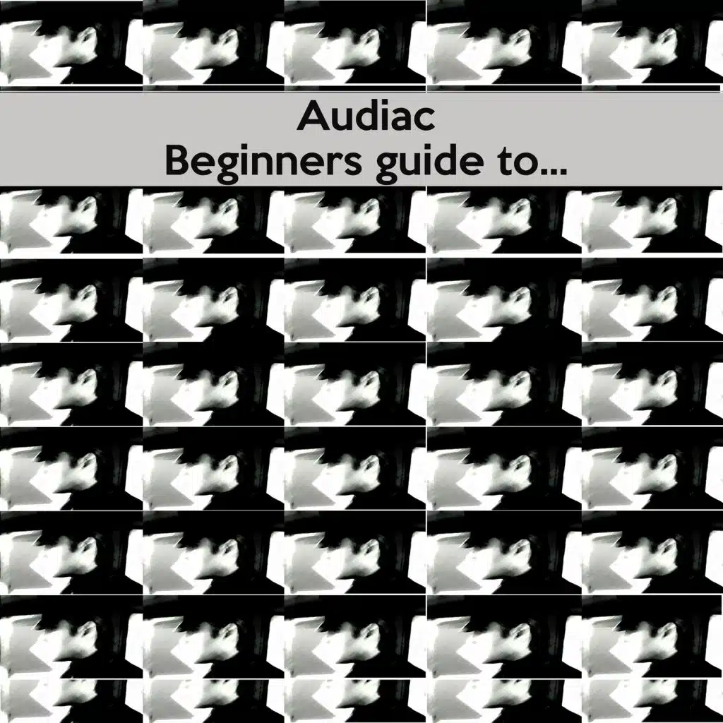 Beginners Guide to Audiac