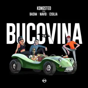 Bucovina (feat. Basim, Navid, Cisilia & Shantel)