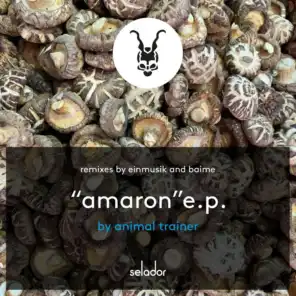 Amaron (Einmusik Remix)
