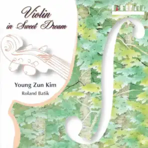 Violin in Sweet Dream