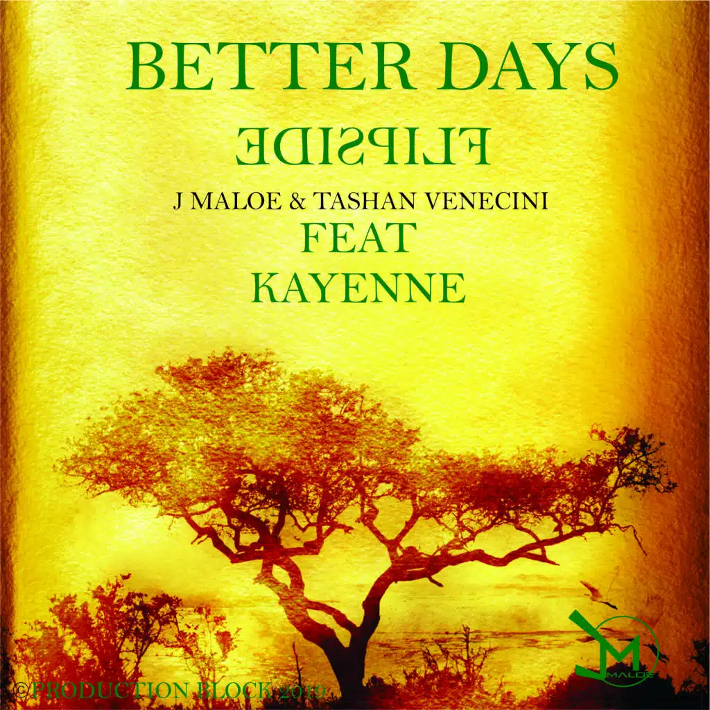 BETTER DAYS (feat. Kayenne) (FLIPSIDE REMIX)
