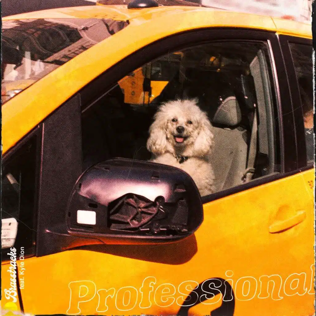 Professional (Live From The Troubadour) [feat. Kyle Dion]