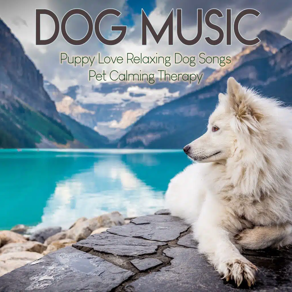 Dog Music : Puppy Love Relaxing Dog Songs, Pet Calming Therapy