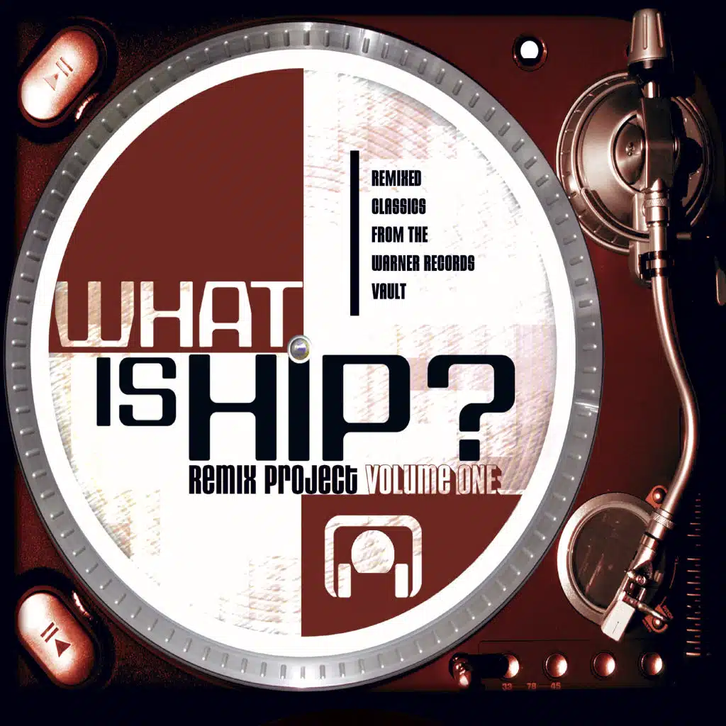 What Is Hip-Remix Project Vol. 1