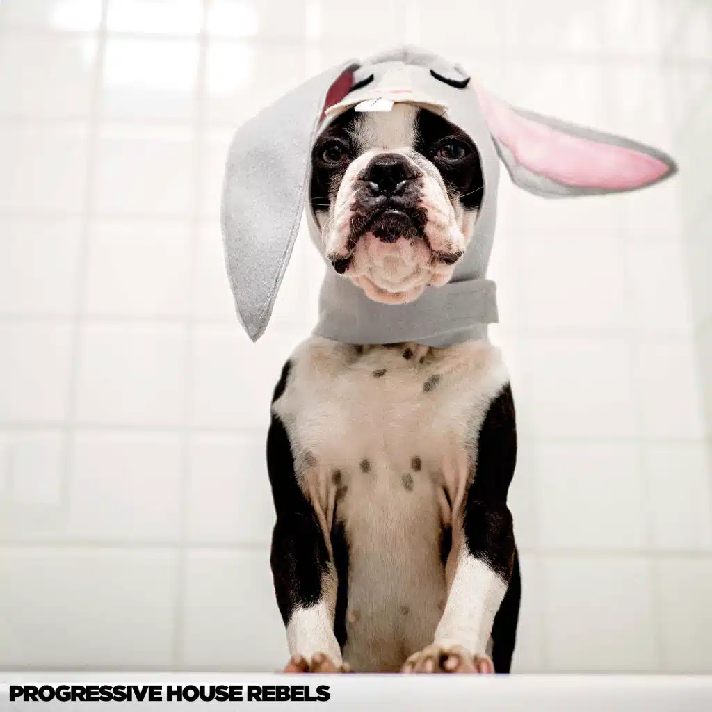 Detector (Kinky Beats Edit)