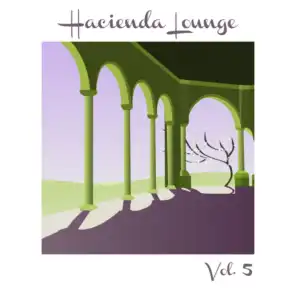 Hacienda Lounge, Vol. 5
