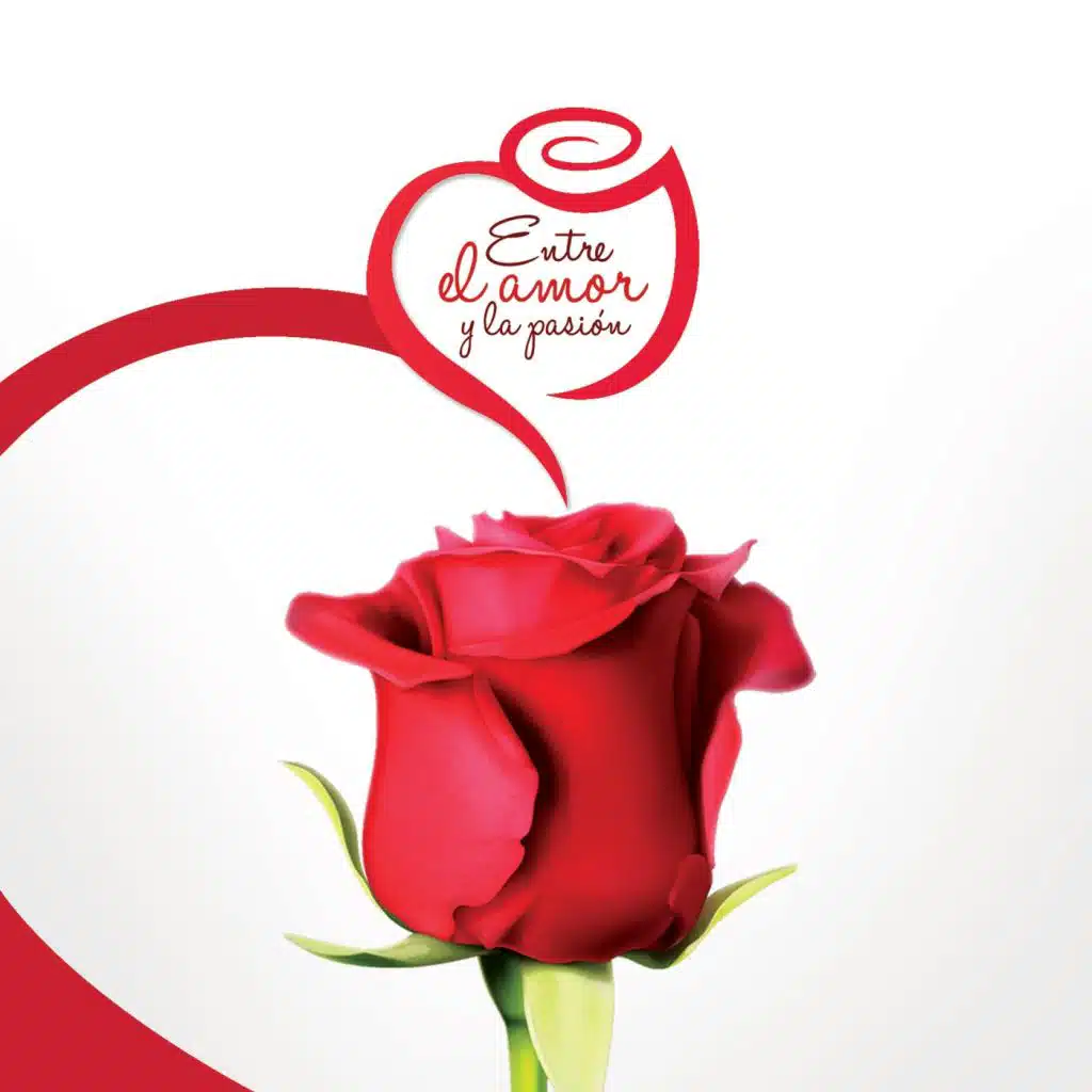 Douglas Ascanio, Henry Linarez & Alonzo Sanoja