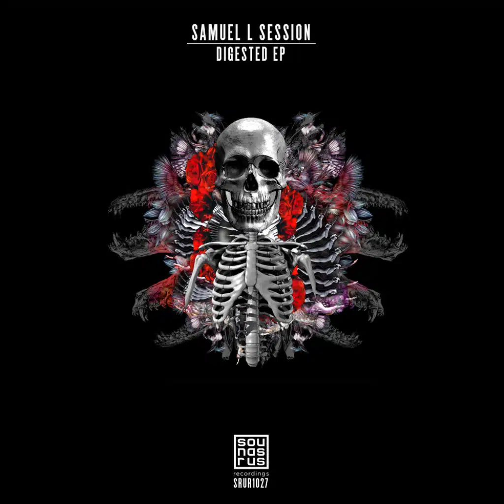 Tonal Decay (Ozan Kanik Remix)